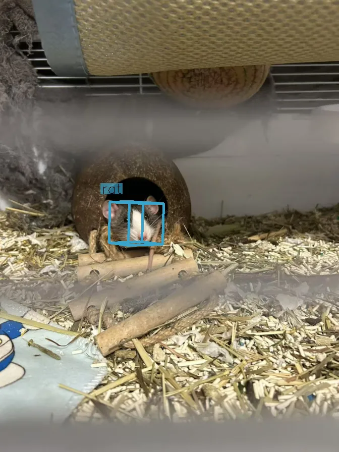 test4